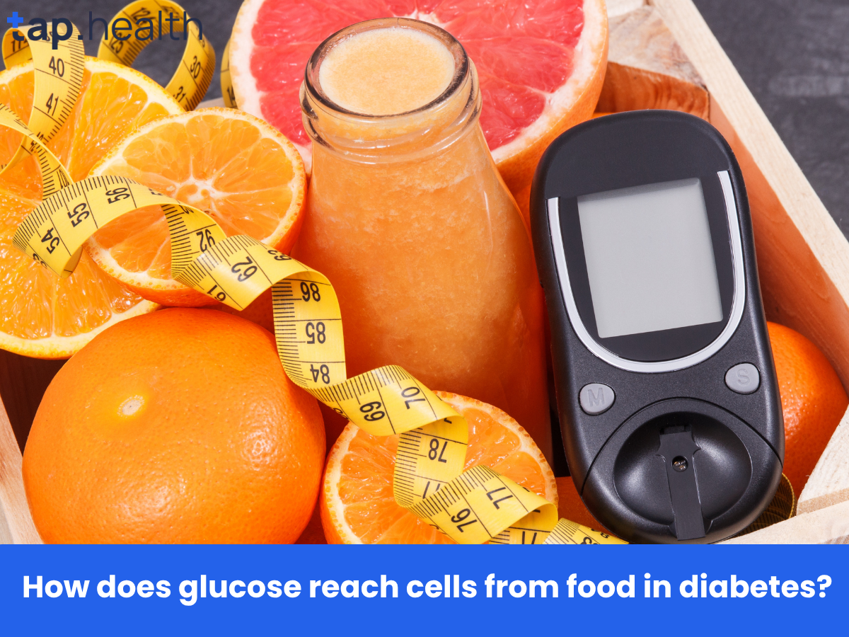 How does glucose reach cells from food in diabetes