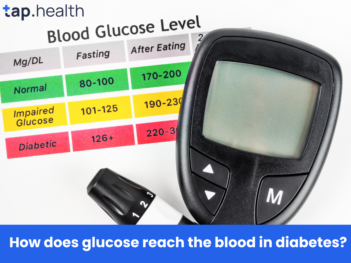 How does glucose reach the blood in diabetes