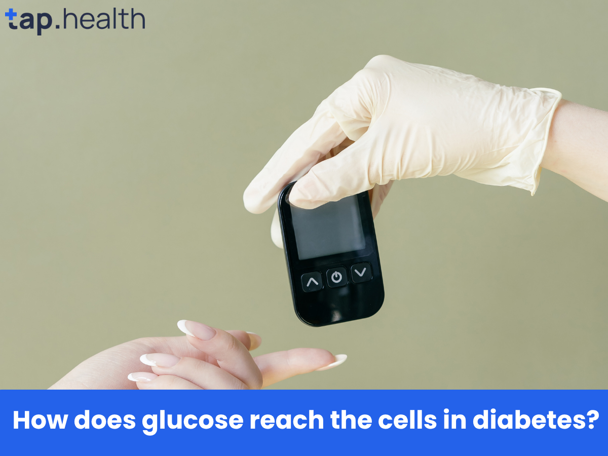 How does glucose reach the cells in diabetes
