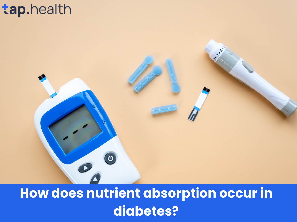 How does nutrient absorption occur in diabetes