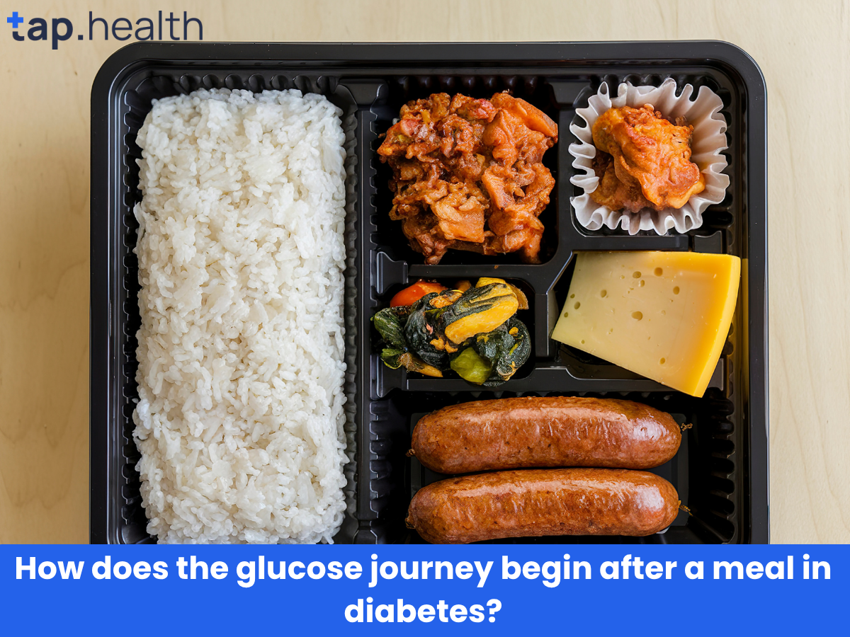 How does the glucose journey begin after a meal in diabetes