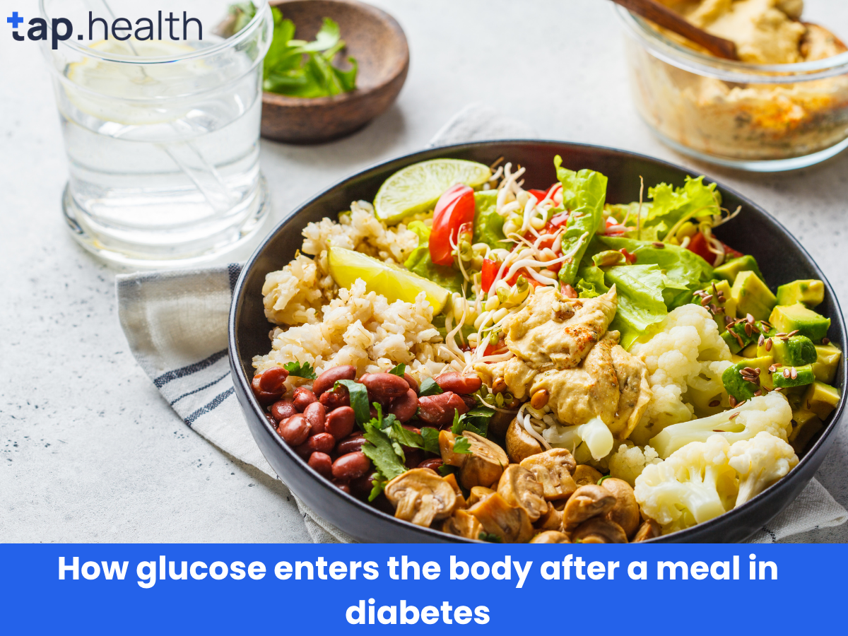 How glucose enters the body after a meal in diabetes
