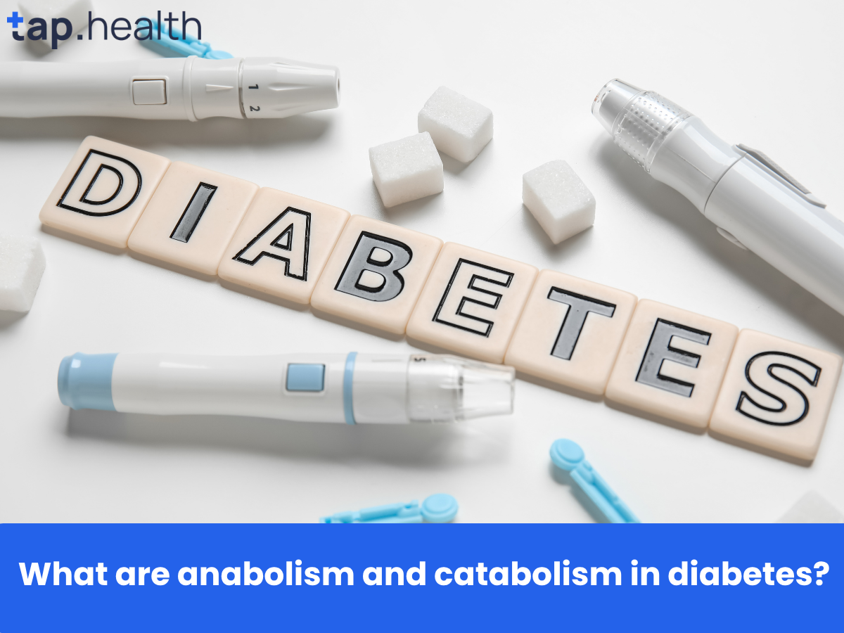 What are anabolism and catabolism in diabetes