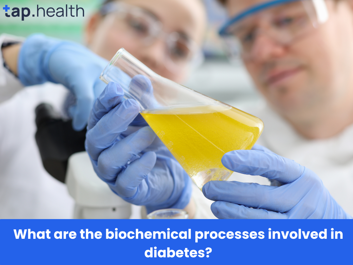 What are the biochemical processes involved in diabetes