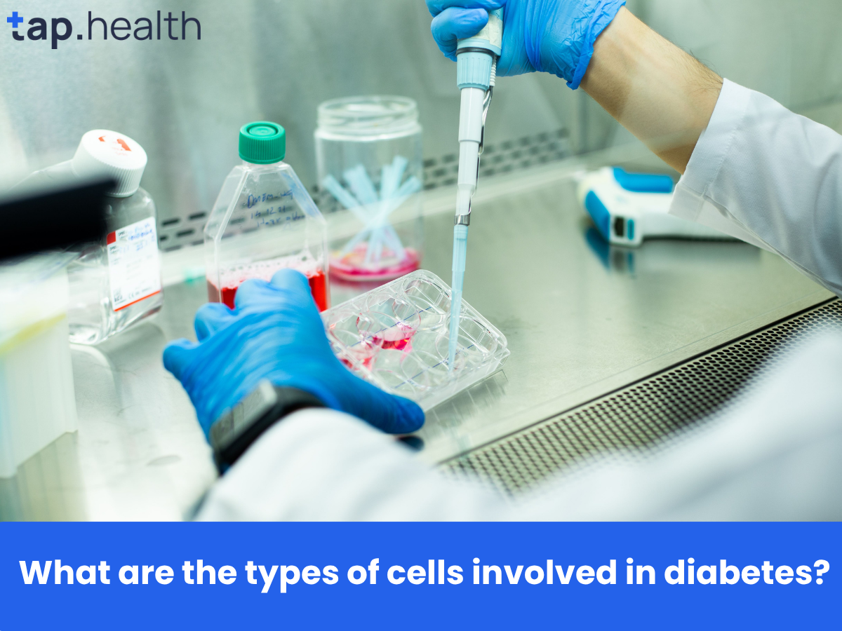 What are the types of cells involved in diabetes