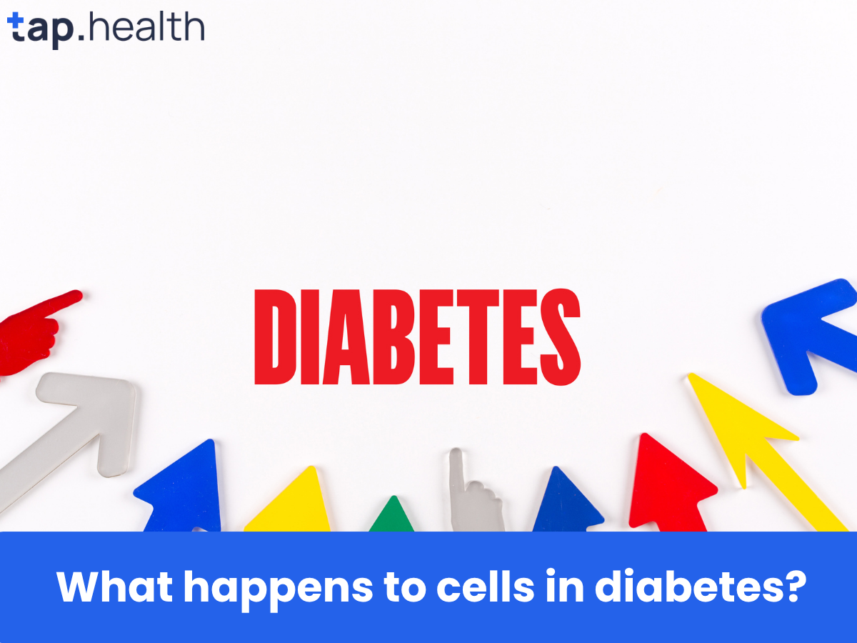 What happens to cells in diabetes