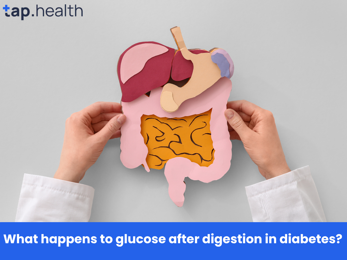 _What happens to glucose after digestion in diabetes