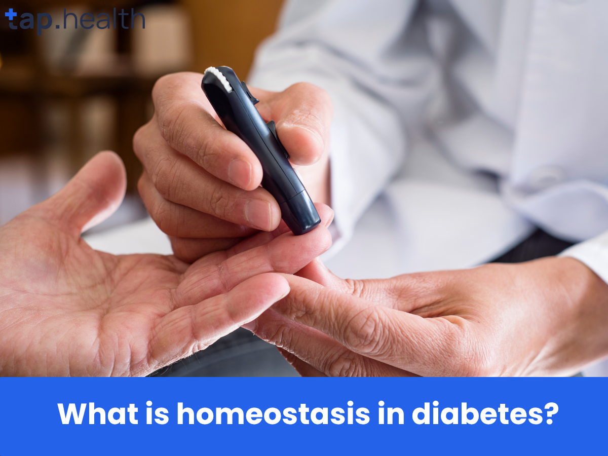 What is homeostasis in diabetes