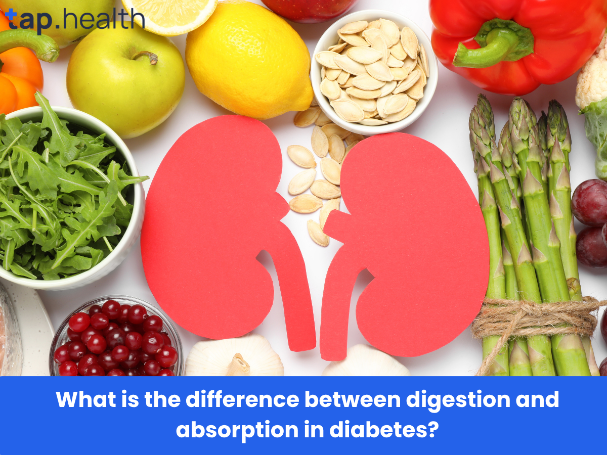 What is the difference between digestion and absorption in diabetes