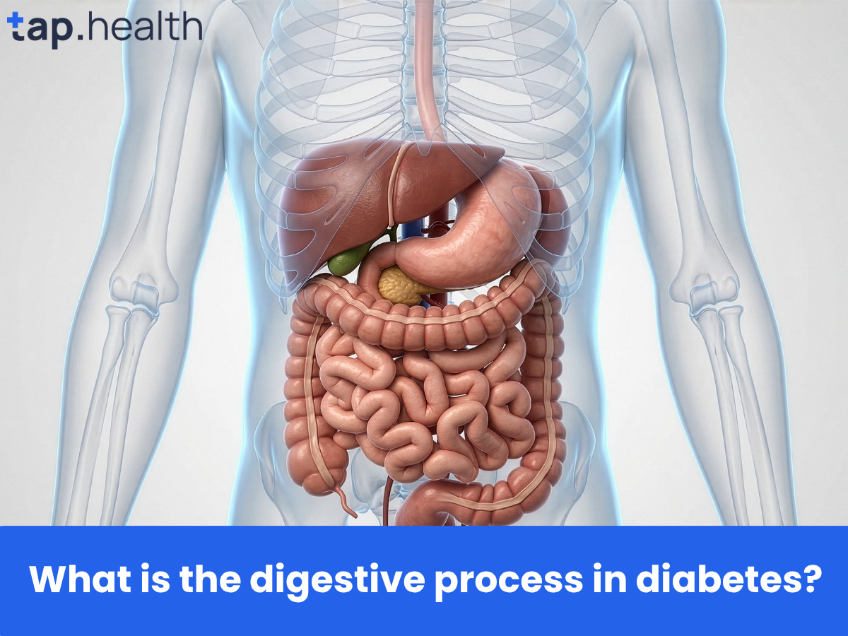 What is the digestive process in diabetes