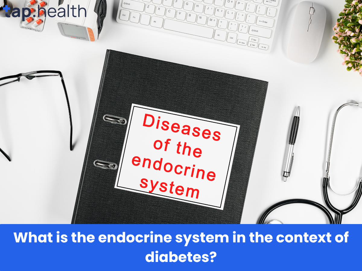 What is the endocrine system in the context of diabetes