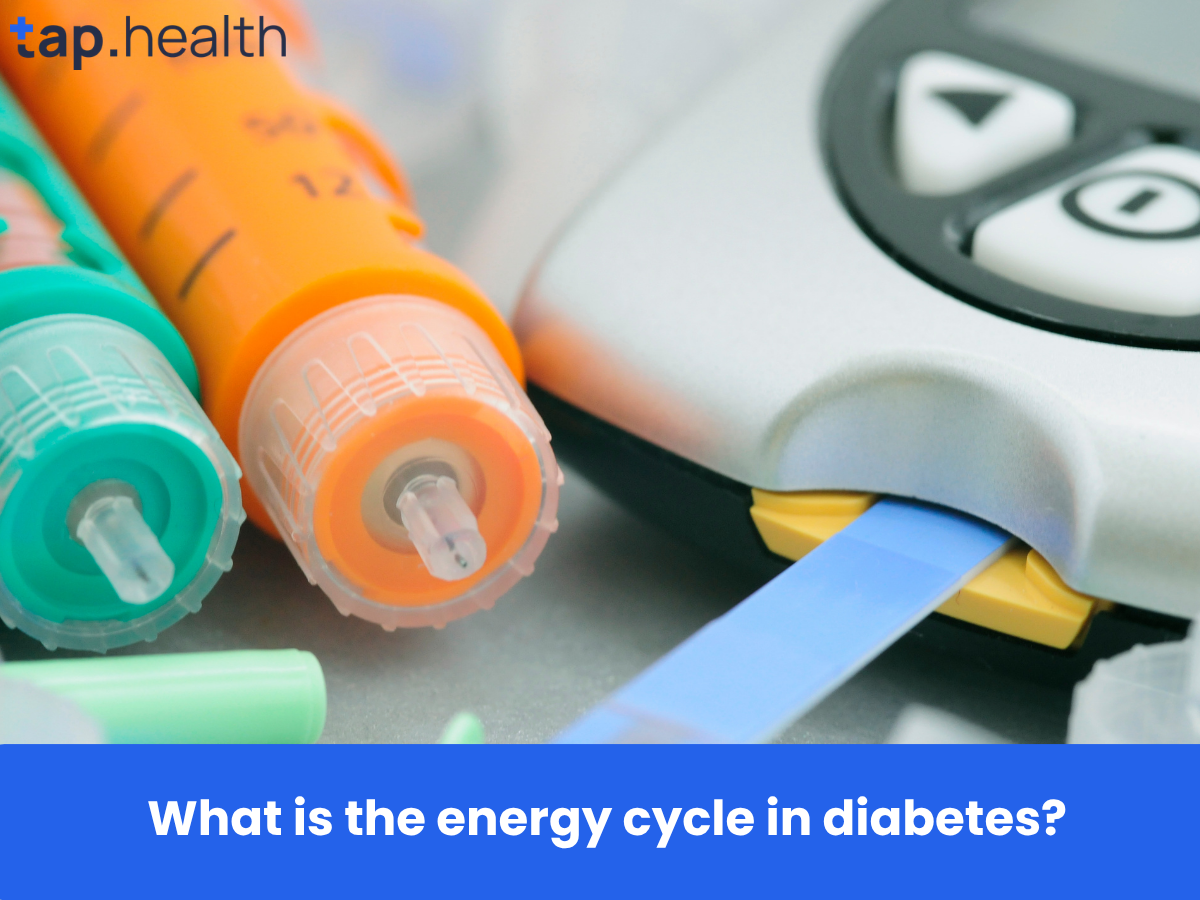 What is the energy cycle in diabetes