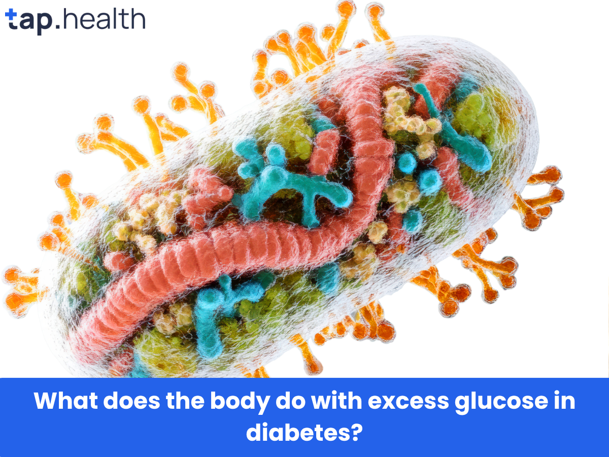 What is the relationship between energy and cellular functions in diabetes