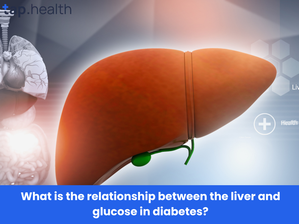 What is the relationship between the liver and glucose in diabetes