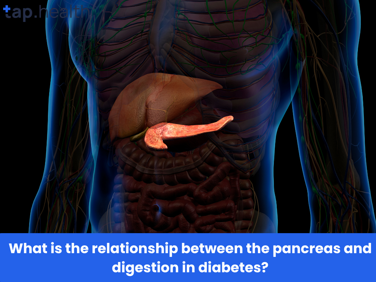 What is the relationship between the pancreas and digestion in diabetes