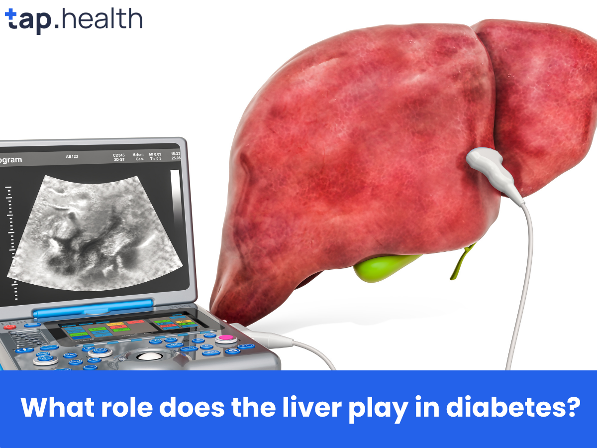What role does the liver play in diabetes
