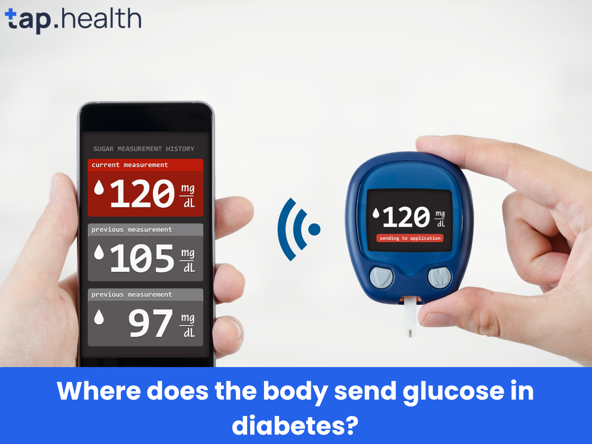 Where does the body send glucose in diabetes
