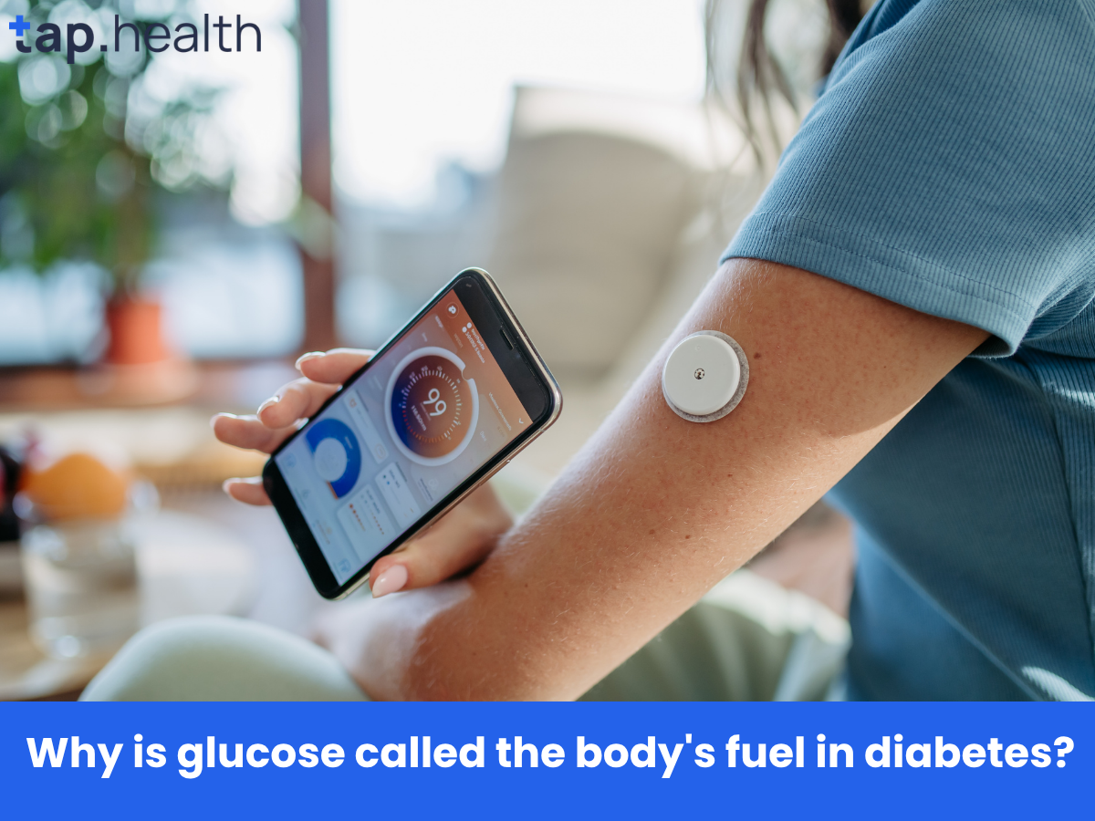Why is glucose called the body's fuel in diabetes