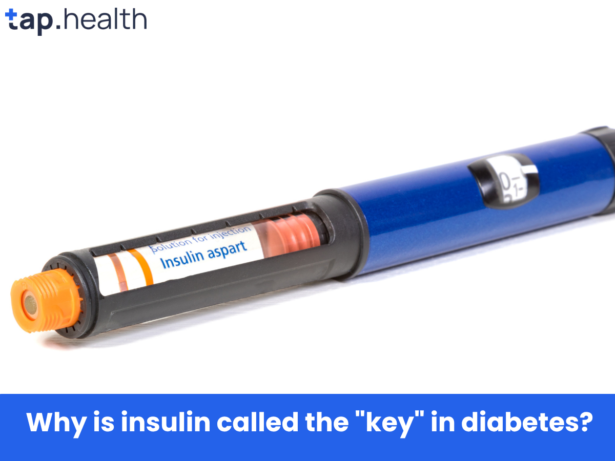 Why is insulin called the key in diabetes