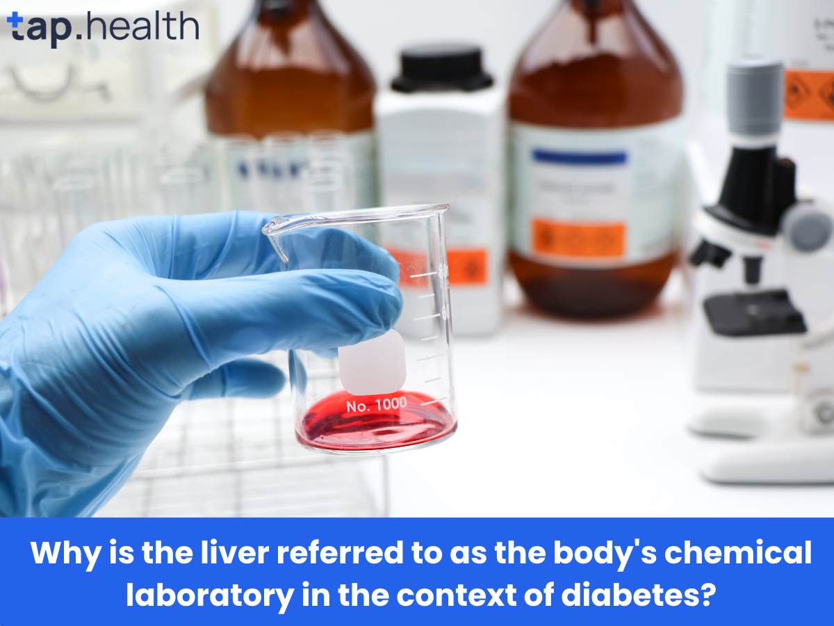 Why is the liver referred to as the body's chemical laboratory in the context of diabetes