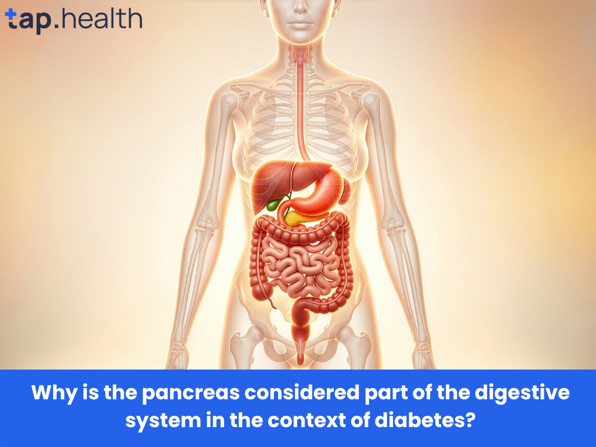 Why is the pancreas considered part of the digestive system in the context of diabetes