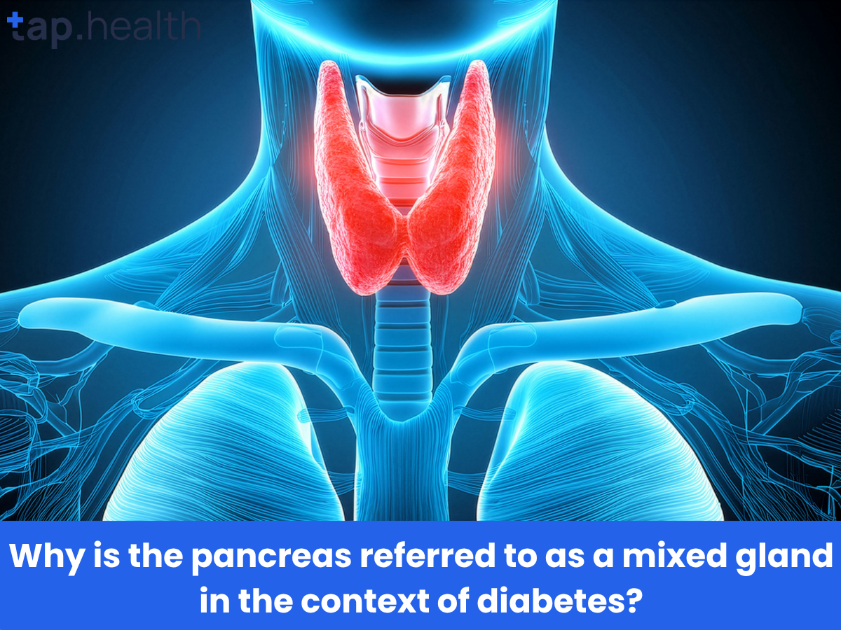 Why is the pancreas referred to as a mixed gland in the context of diabetes