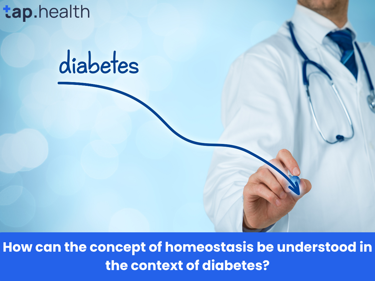 How can the concept of homeostasis be understood in the context of diabetes