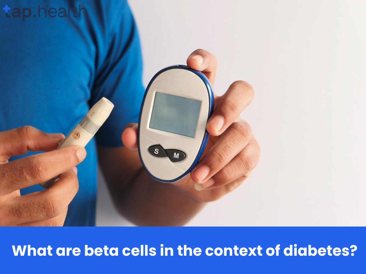_What are beta cells in the context of diabetes