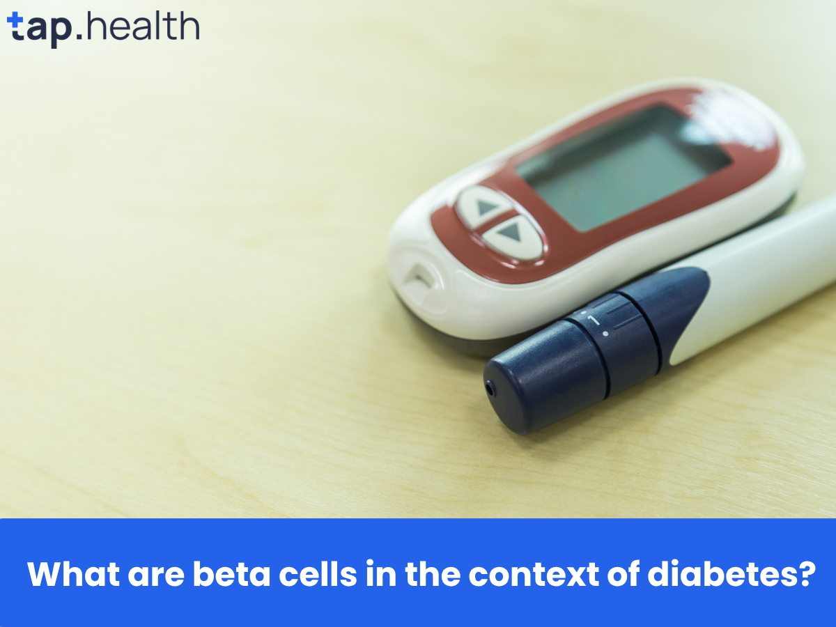 _What are beta cells in the context of diabetes