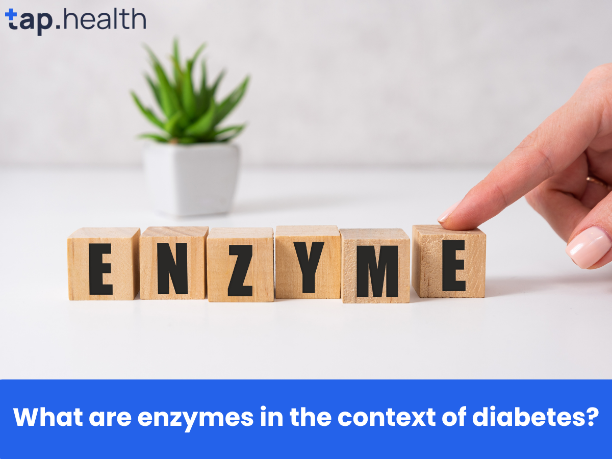 What are enzymes in the context of diabetes