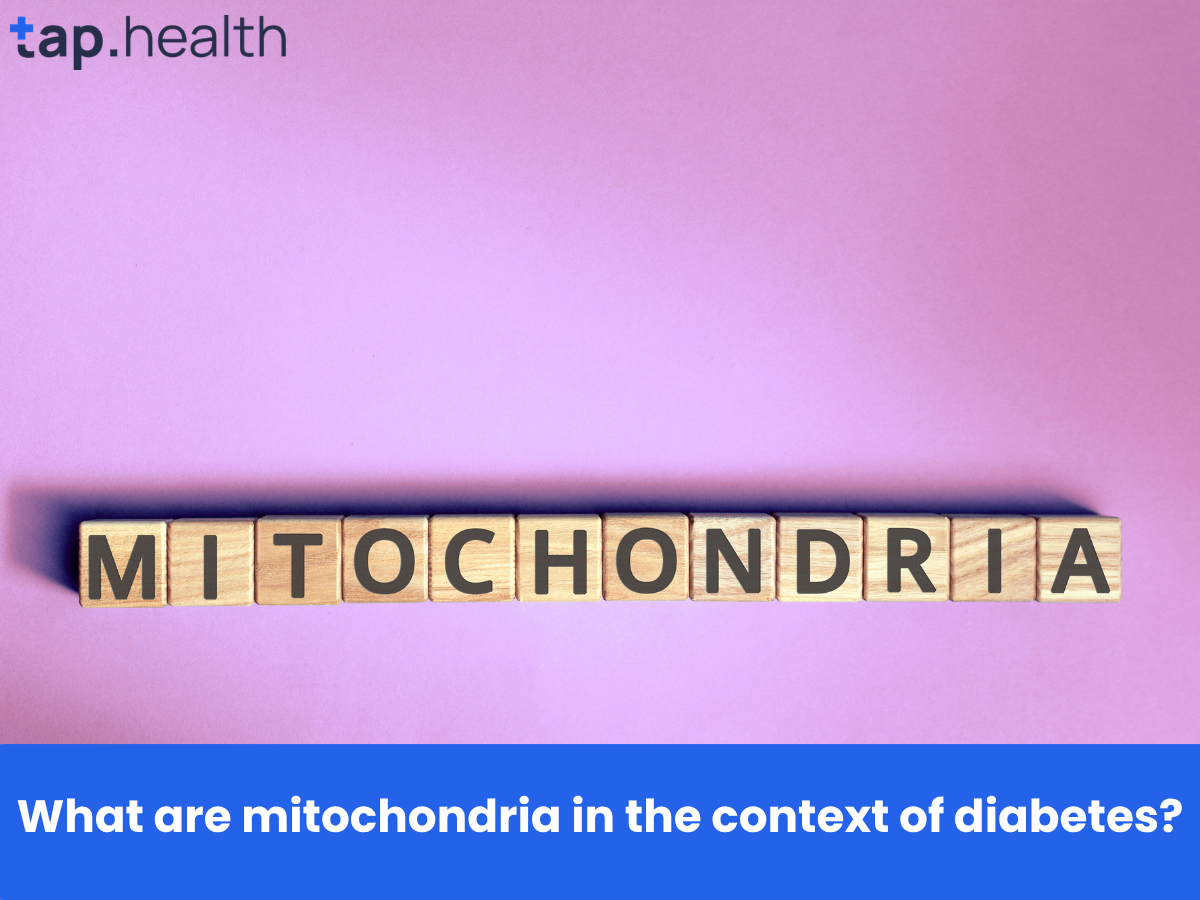What are mitochondria in the context of diabetes