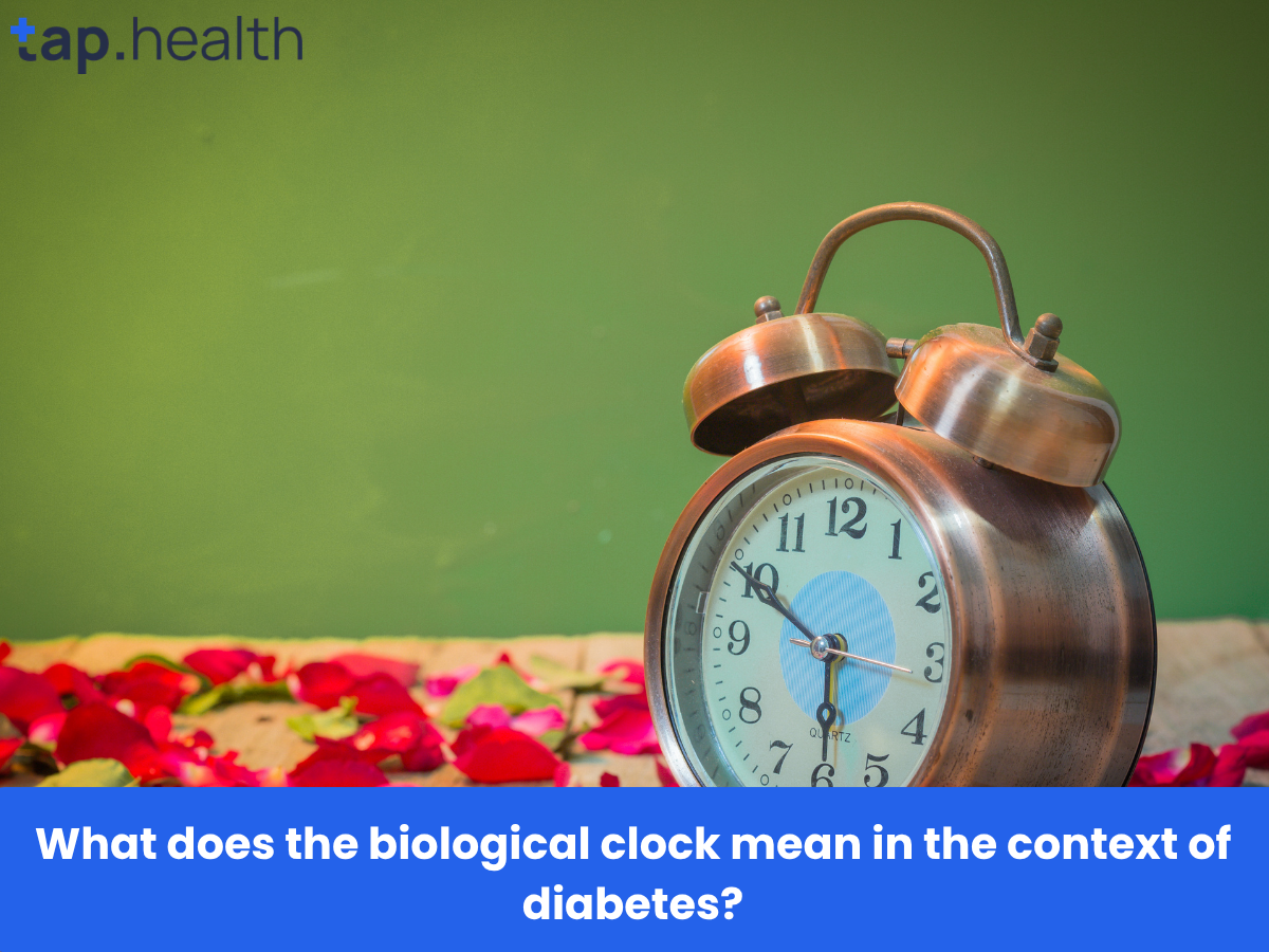 What does the biological clock mean in the context of diabetes