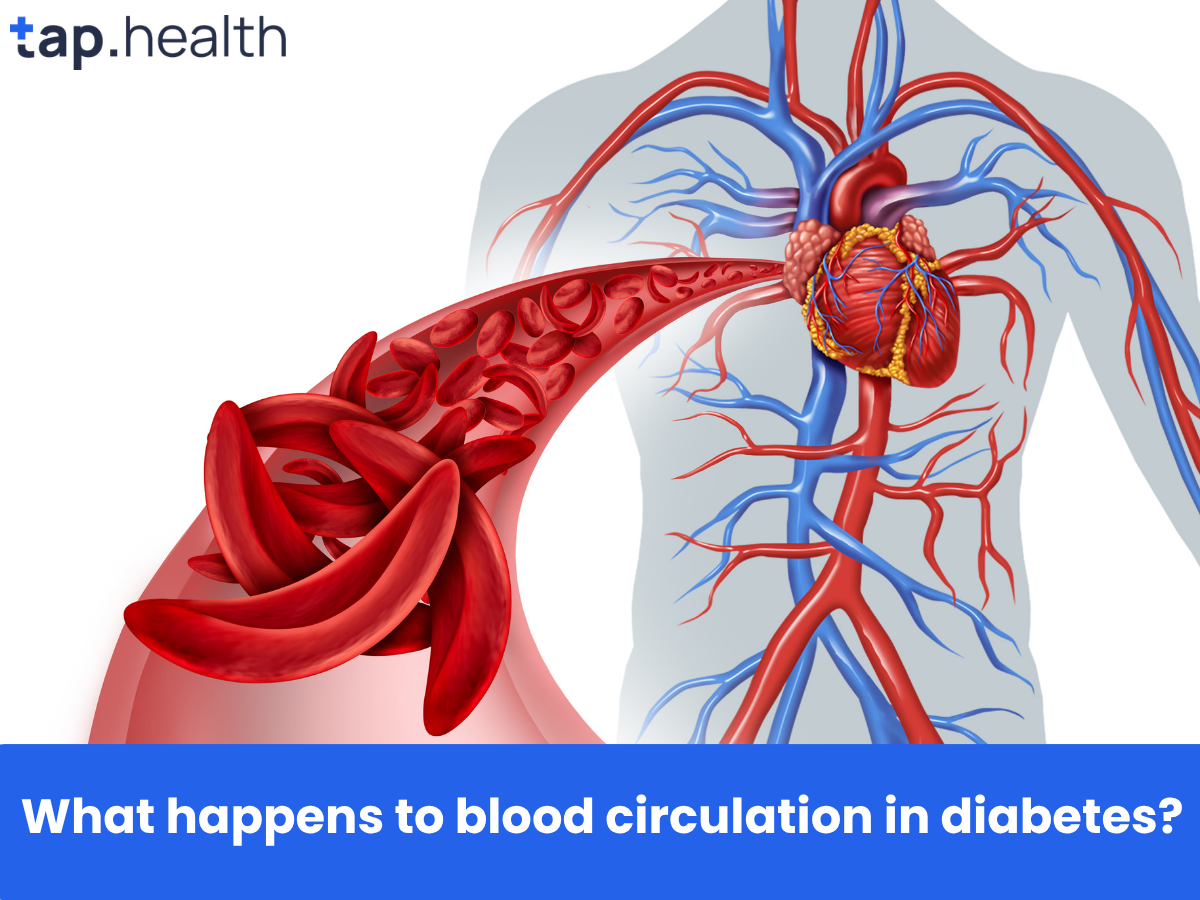 What happens to blood circulation in diabetes