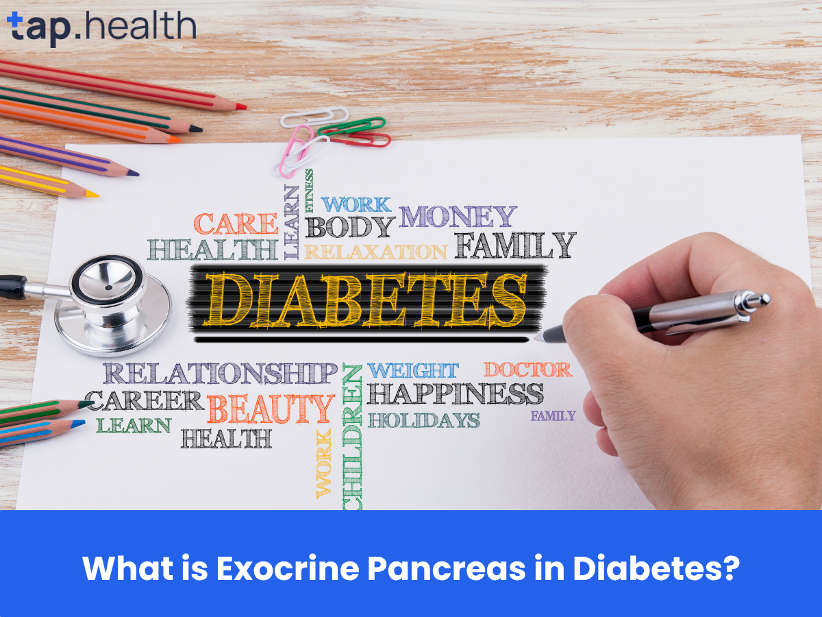 _What is Exocrine Pancreas in Diabetes
