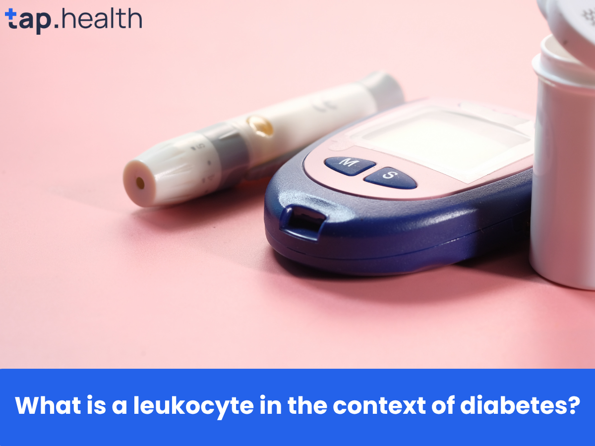 What is a leukocyte in the context of diabetes