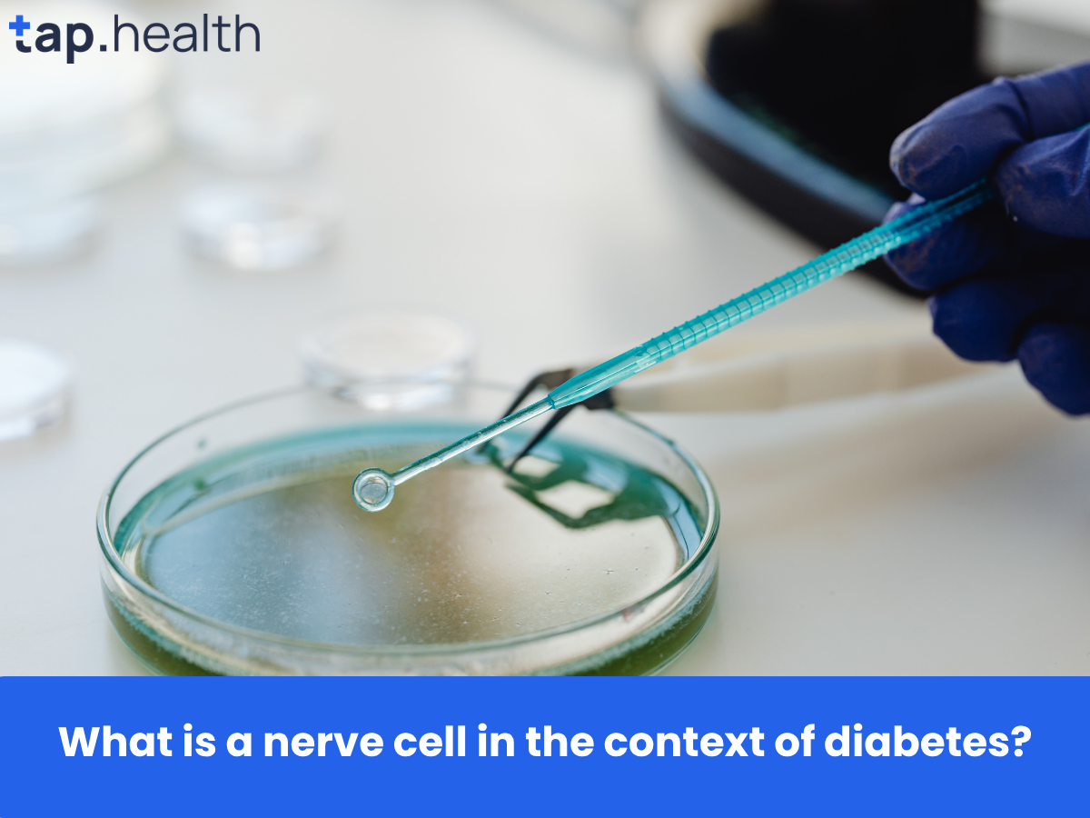 What is a nerve cell in the context of diabetes