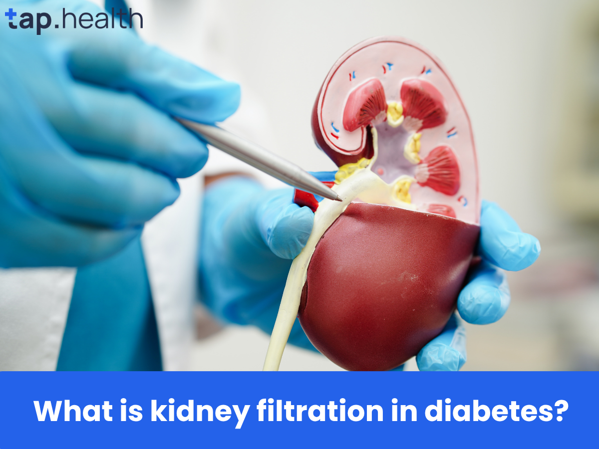 What is kidney filtration in diabetes