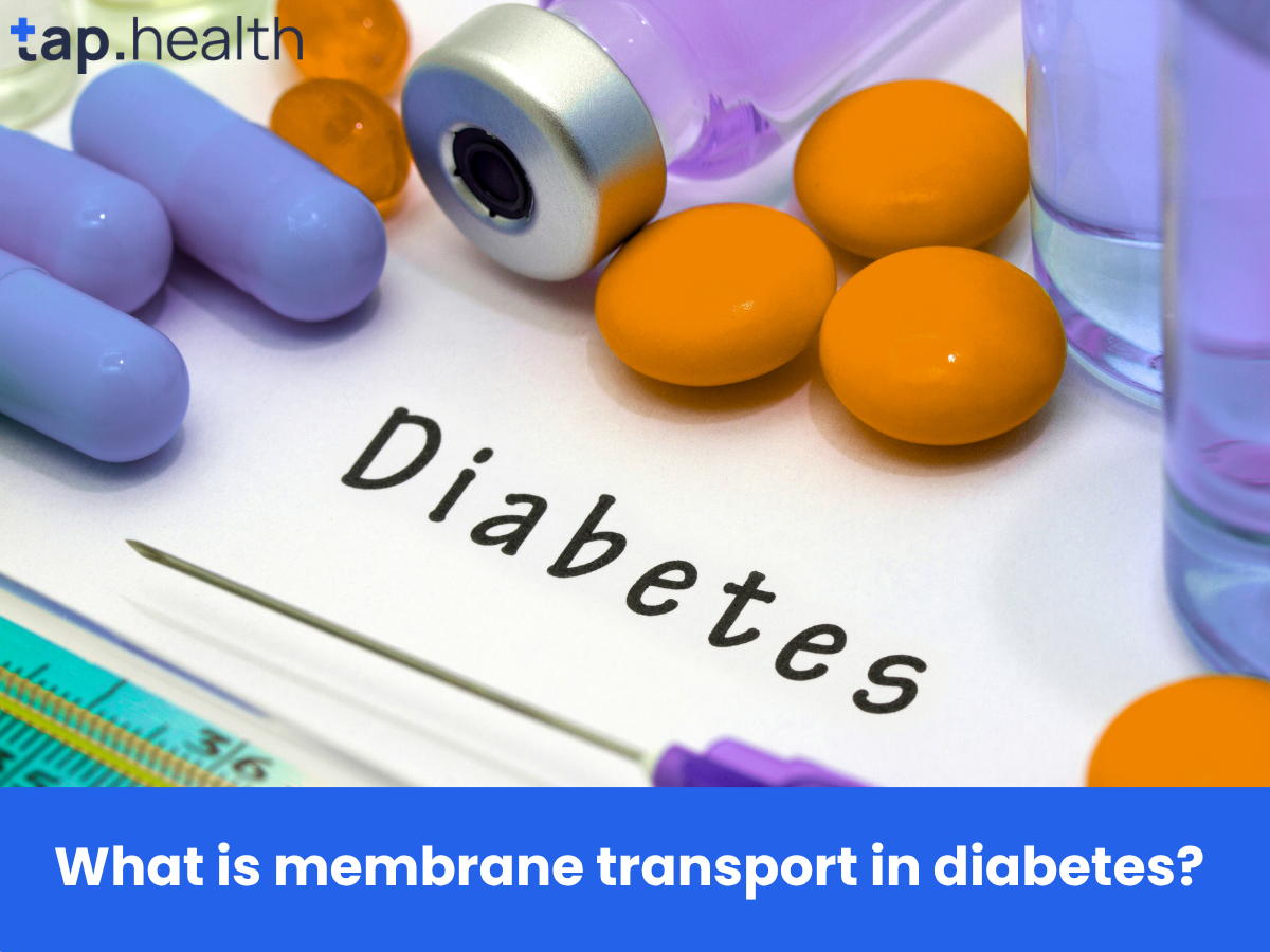What is membrane transport in diabetes