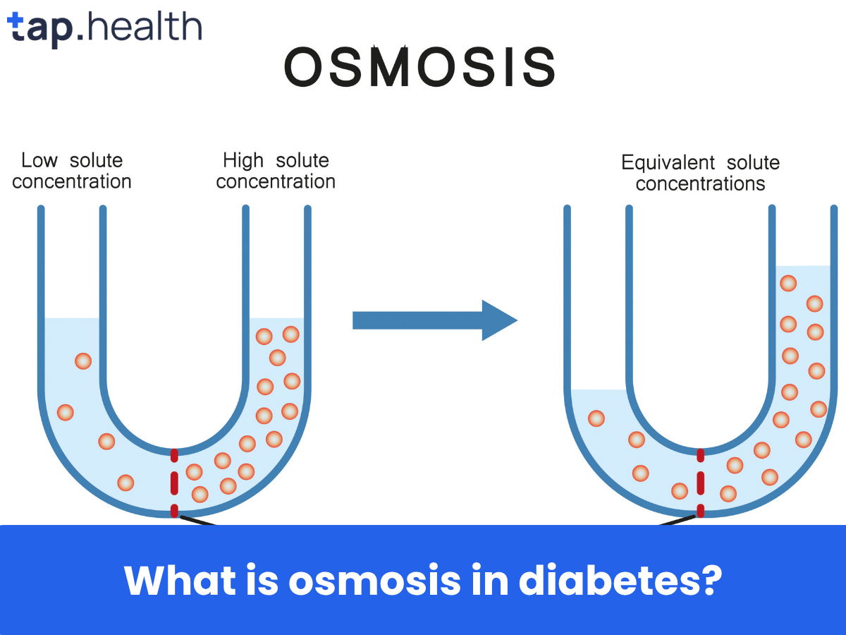 What is osmosis in diabetes