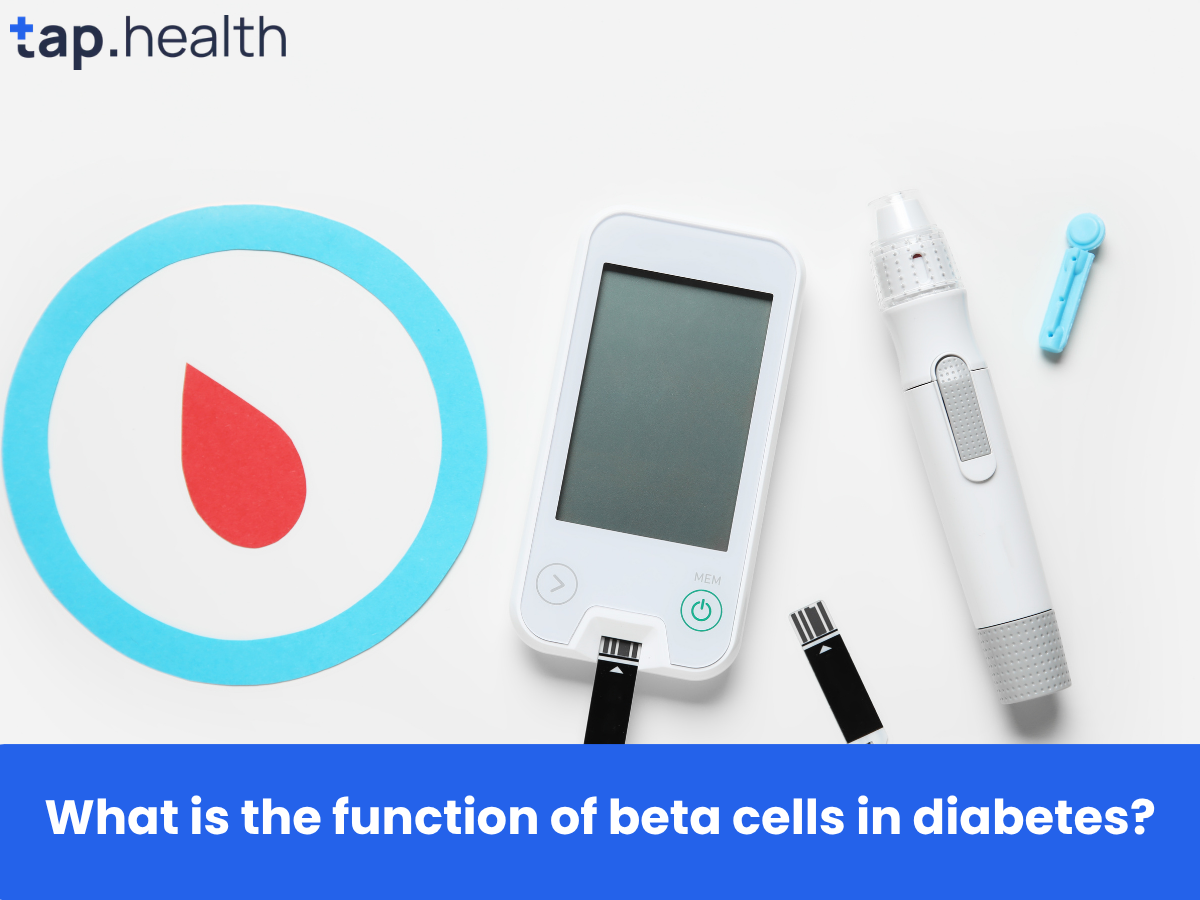 What is the function of beta cells in diabetes