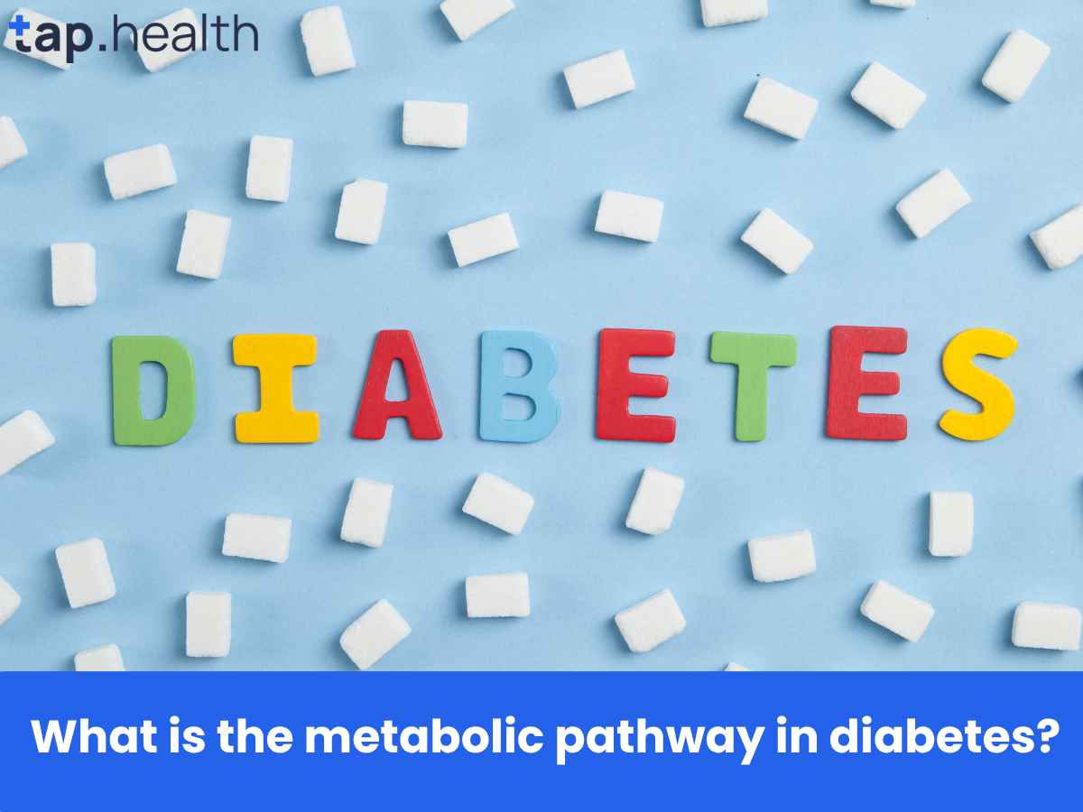 What is the metabolic pathway in diabetes